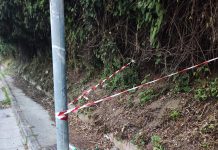 MARANO, POTATURA EFFETTUATA DAGLI OPERAI DEL VERDE, MA LA DITTA DELL’IGIENE URBANA NON RACCOGLIE E TUTTO RESTA A TERRA PER SETTIMANE. CARDELLICCHIO: A BREVE NUOVO INCONTRO OPERATIVO, IL SERVIZIO DEVE MIGLIORARE