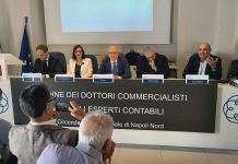 Commercialisti, la riforma Accrual apre nuovi scenari per enti locali e giustizia amministrativa