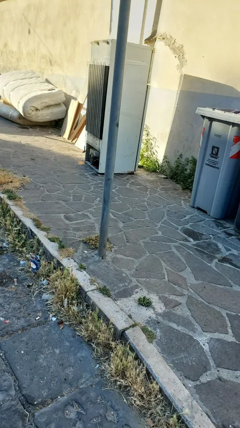 SBORRRR