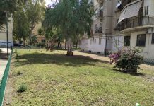 NAPOLI RIPARTE DAL PATRIMONIO GREEN