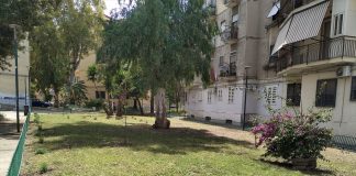 NAPOLI RIPARTE DAL PATRIMONIO GREEN