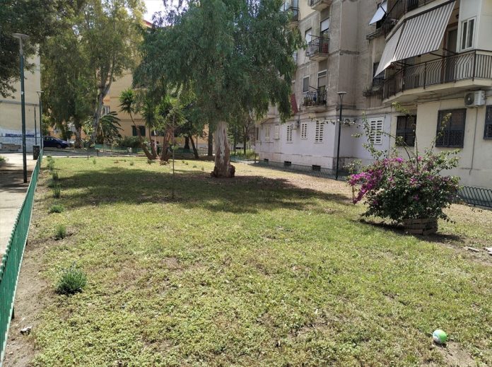 aiuole in rigenerazione_rione Luzzatti_Napoli (1)