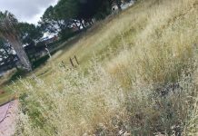 Marano, principio d’incendio al Ciuarro: fiamme domate dalla Polizia Municipale. Torna l’allarme sicurezz