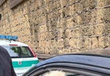 Il cucciolo Charlie salvato dalla Polizia Metropolitana di Napoli