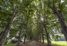 Apre il Parco del Real Polverificio Borbonico di Scafati