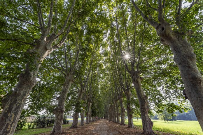 Inaugurazione Parco Real Polverificio Borbonico (8)
