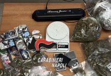 Napoli: Controlli anti droga durante i concerti. Carabinieri arrestano 2 pusher
