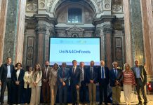 UniNA4OnFoods: alla Federico II presentati i risultati più promettenti delle ricerche condotte su nutrizione, salute e sostenibilità