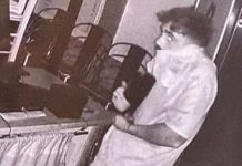 Furto in pizzeria a Nocera Inferiore: il proprietario diffonde il video. “Siamo stanchi”