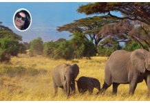 Tragedia in Kenya: una turista italiana muore in un incidente stradale, marito e figlio ricoverati in ospedale