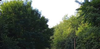 Marano, nuovo maxi sversamento illecito in via Cupa del Cane: “L’inciviltà va fermata e combattuta”