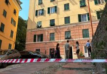 Accoltella la sorella, poi muore precipitando dalla finestra