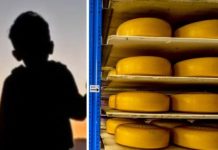 Mattia Maestri morto a 13 anni dopo 9 di coma per aver mangiato un formaggio a latte crudo