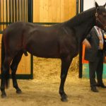 MORTO VARENNE, IL CAVALLO PIU’ FORTE DI TUTTI I TEMPI