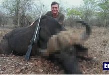 Il safari per super ricchi di Lavitola pochi giorni dopo l’attentato a Ranucci