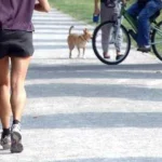 Correre pianissimo fa bene al cervello, lo studio e la sorpresa