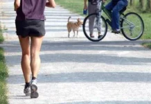 Correre pianissimo fa bene al cervello, lo studio e la sorpresa