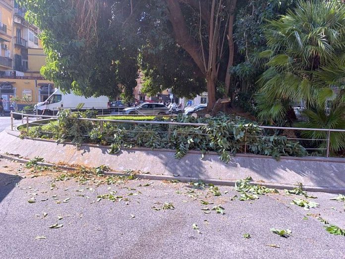 Napoli, piazza degli Artisti, i rami caduti e tagliati