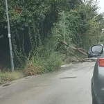 Marano, disastro maltempo: pericolo in via Padreterno, albero cade sulla strada. Per il resto allagamenti, tombini saltati e blackout