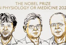 Nobel per la Medicina ai grandi dell’optogenetica: premiata la scoperta che accende la luce sui misteri del cervello